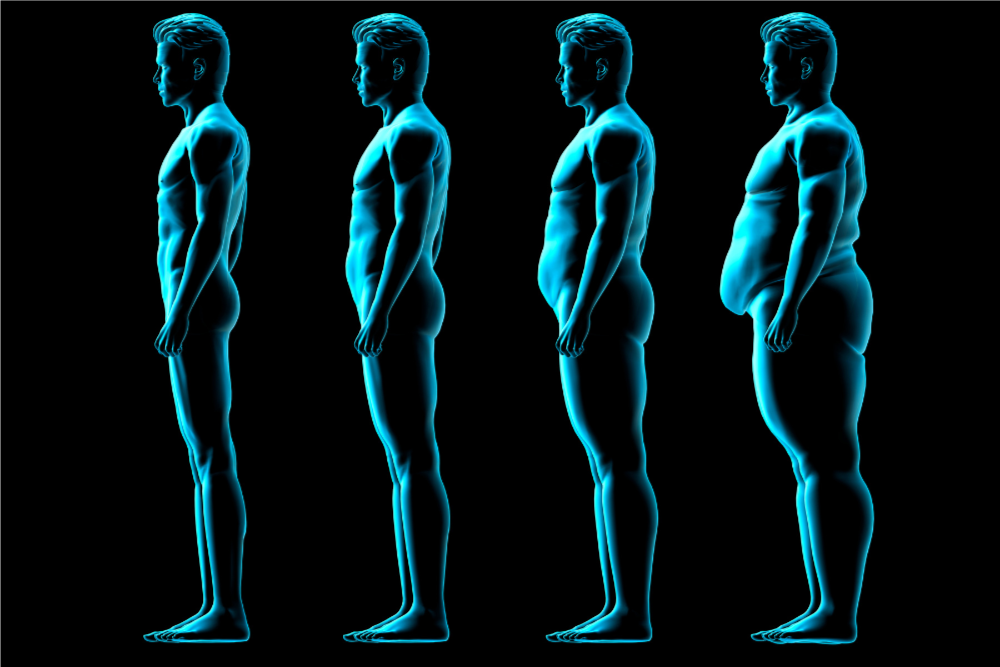 Your Month-by-Month Weight Loss Injection Results Timeline Near Longwood, FL